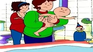 Caillou en Español | Dibujos Infantiles | COMPILACIÓN | Capítulos Completos