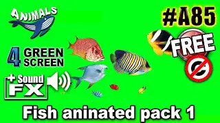 Fish aninated pack 1 Green Screen 3D