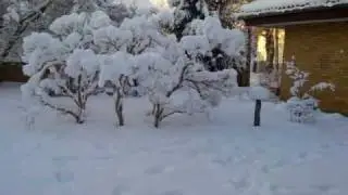 Talvikuvia
