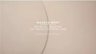 MAARJA NUUT 'Siidisulis linnukene'