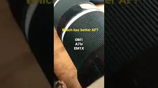 Which has better AF? OM1, Sony A7iv or EM1X?