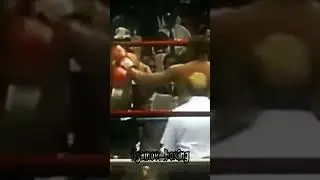 Tyson 🥊