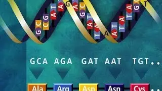 Božji potpis u DNK - God's signature in DNA- Yaron Reuven