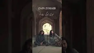 Gham Hai Ya Khushi Hai Tu, Meri Zindagi Hai Tu🍂 #zainzohaibmusic