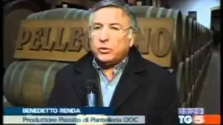 TG5.mp4