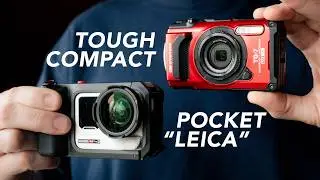 Pocket-Sized 