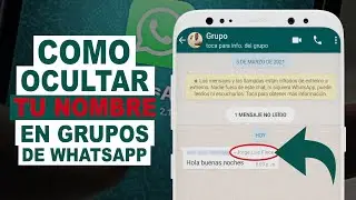 How to Hide Your Name in WhatsApp Groups