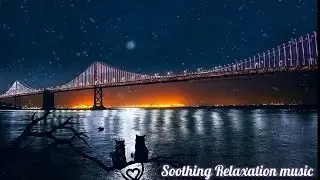Beautiful Piano Music (Sea of Memory)