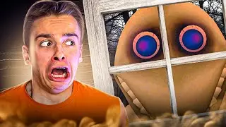 САФИКА 1234 УВИДЕЛ ЧЕЛОВЕК за ОКНОМ и...