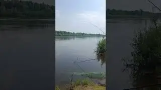 Фидерная рыбалка, вываживания рыбы