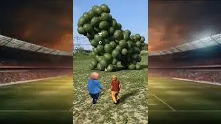 Amazing surprise donation mascot dogs lost on the football field