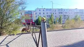 Czech street. Prague hentai. German love
