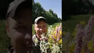 30 июня 2024 г.