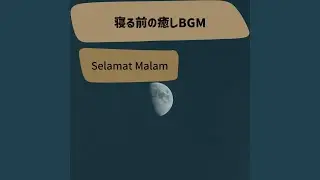 Carousel of the Moon