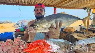 WoW ATTRACTIVE!! Biggest Street Fish Cutting |Big Trevally Fish Cutting|Huge Tuna Fish Cutting Skill