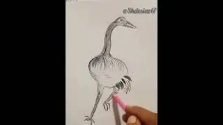 #video .How to easily  draw an  ostrich? step by step for beginner by(@skdesiart7 )👍👍🙏🙏💖