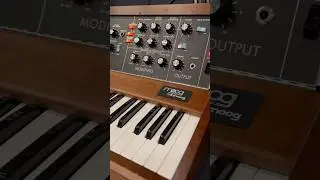 Moog Model D 2023: First patch!