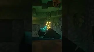Warden animation 