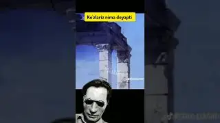 Ko'zlariz nima deyapti 🤣