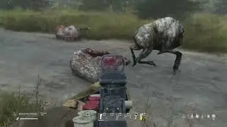 S.T.A.L.K.E.R.   RP ( Да как так то ? )