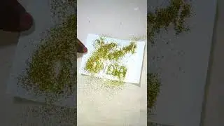 Pakistan India takra||Asia cup 2023||Pakistan vs India#viral #cricket