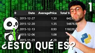 🐼What is a DATAFRAME? | Python Pandas tutorial in Spanish