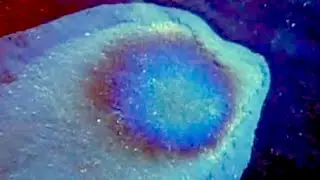 8.03 - Lect 20 - Interference, Huygen's Principle, Thin Films, Double Slit Demo