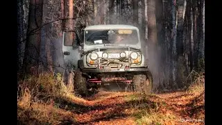 Вспышки памяти 