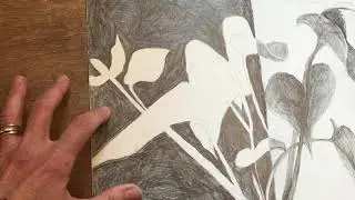 Positive/Negative Space Drawing
