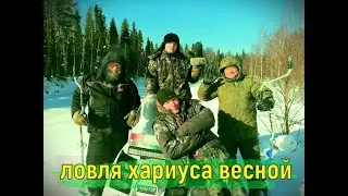 весенний хариус # хариус ломает удочки