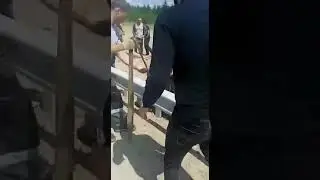 спасение медведя, мужики молодцы🔥 ❤️❤️