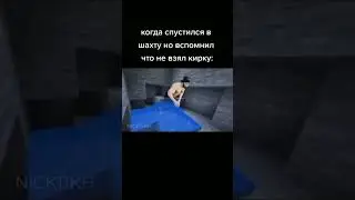 жиза