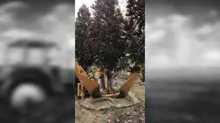 450i Super-Compact 3-Blade Tree Spade