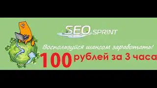 Seosprint - сколько можно зарабатывать!?