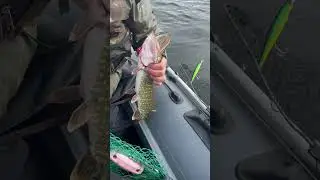 Рыбалка на Псковщине 28 🎣🎣🎣