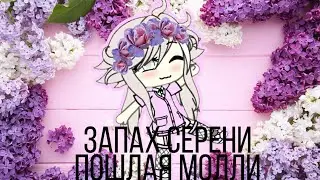 Клип||Запах серени-Пошлая молли||gacha life||на русском||enjoy||