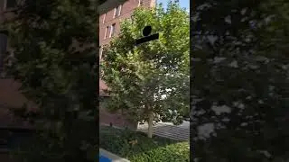 VID 20190915 092559