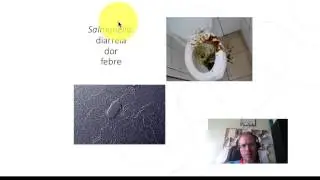 vest_bactérias