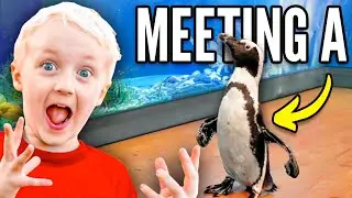 Meeting a REAL PENGUIN!!!