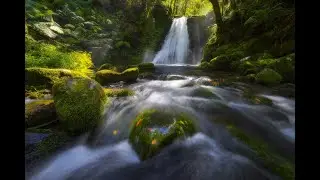 New England and Dorrigo 2022 (part 3)