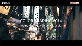 COLOR GRADING 014 - Rainy Night City Cinematic Look | LUT Free