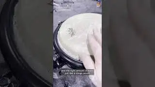 These Toca Commuter Congas