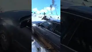16 мая 2023 г.