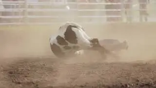 2024 CCA Delisle Rodeo