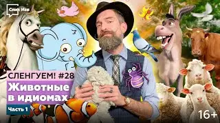 Животные идиомы. Сленгуем! #28