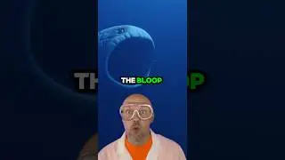 Scariest sound in the ocean 🌊😱