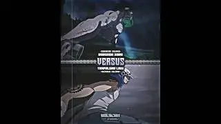 Zoro vs Law