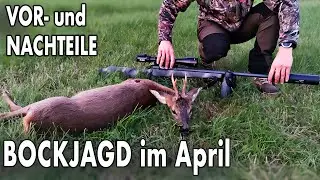 Sollte die BOCKJAGD im April starten? (Kontroverse Diskussion) JAGD TOTAL