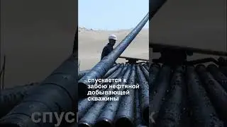 Эффект применения ГИДРОМОНИТОРНОГО оборудования #shorts #oil #oilandgas #нефть #наука #инновации