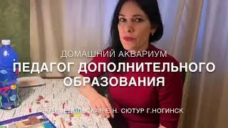 Домашний аквариум